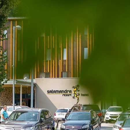 Hotel Salamandra 4*